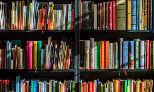 Rows of books on a shelf